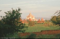1078_Burma_1985.jpg